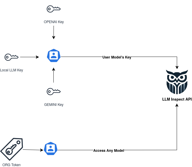 API User Guide - LLMINSPECT DOCUMENTATION